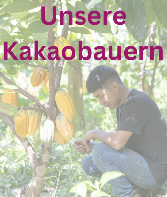 Ein Kakaobauer kniet und untersucht Kakaoschoten, die an einem Baum in einer üppig grünen Plantage wachsen. Der Text 'Unsere Kakaobauern' ist deutlich über dem Bild zu sehen. Klicken leitet zu einer Seite mit einer Auswahl aller Kakabauern mit denen wir zusammenarbeiten.